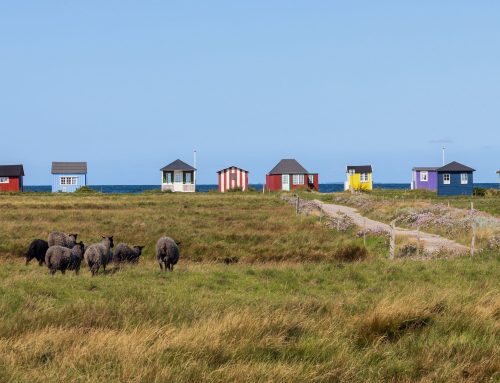 Wo Dänemark am schönsten ist: Fünf Küstenziele für entspannte Tage am Meer