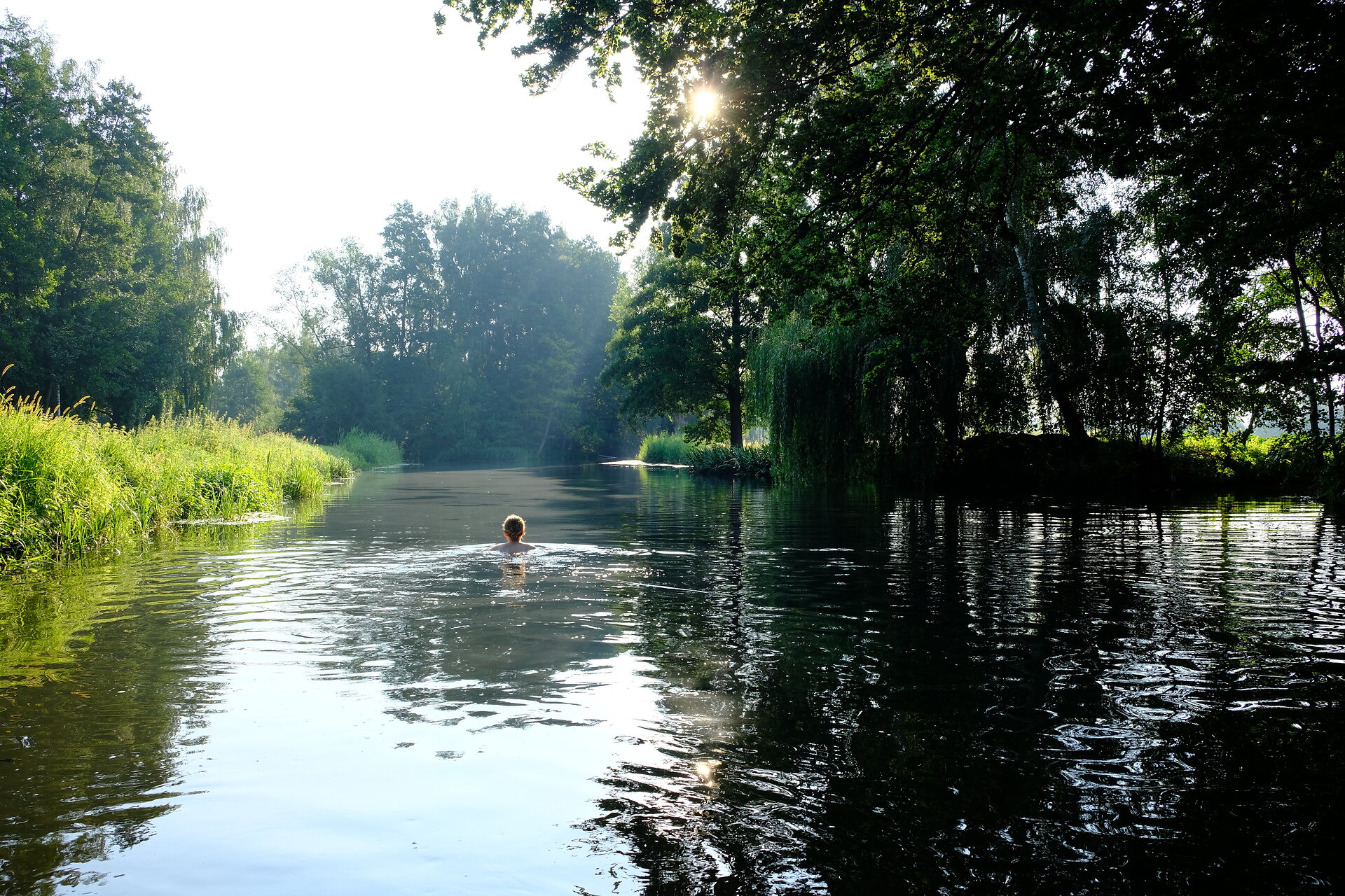 Mecklenburger Seen Schwimmerin im See im Sommer in Mecklenburg