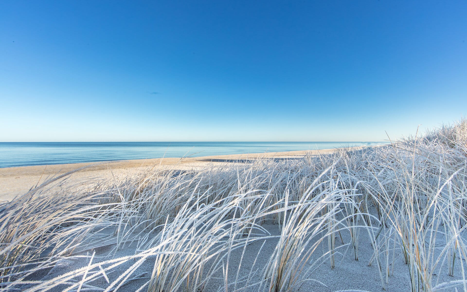 Winter am Meer mit Blick auf ruhiges Wasser, Sandstrand und gefrorenes Dünengras