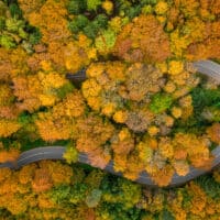 Dronenaufnahme einer kurvigen Straße im Herbst mit farbigen Bäumen von oben