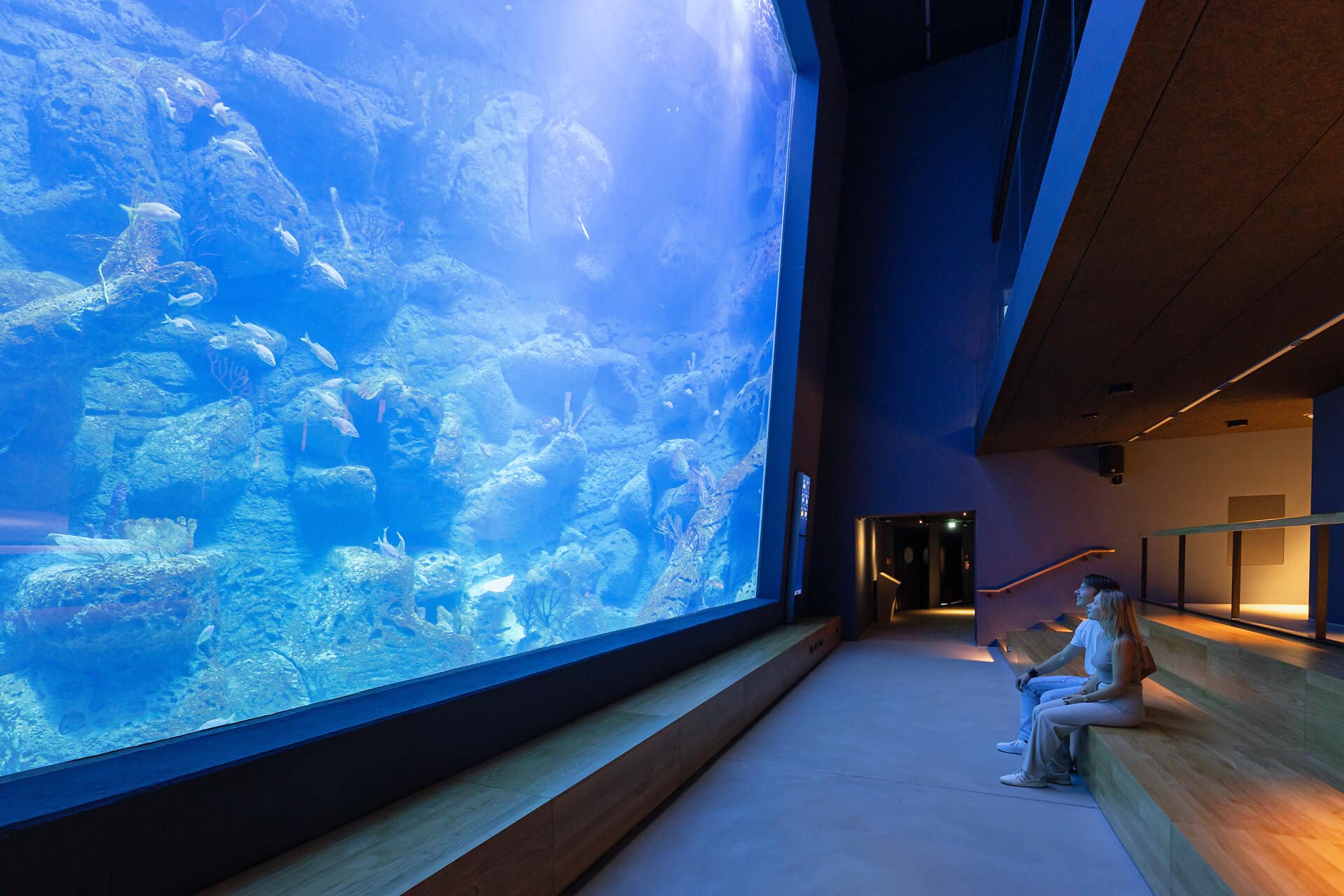 Meeresmuseum Stralsund, Karibisches Riff