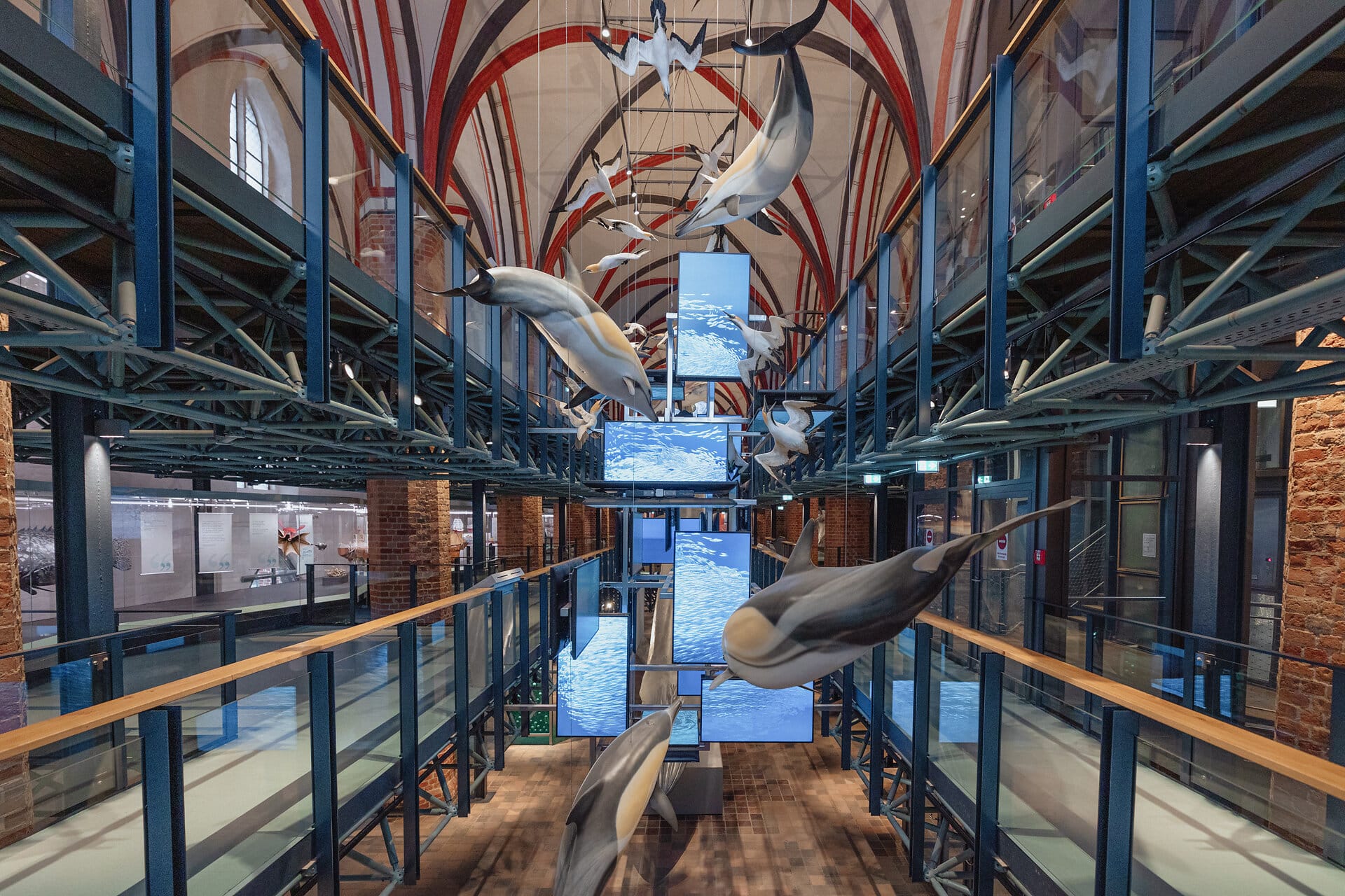 Meeresmuseum Stralsund, Katharinenhalle