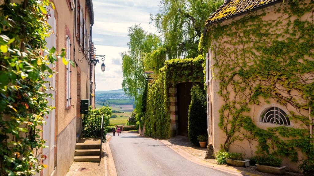 Champagne entdecken: historische Städte, Weinberge und kulinarische Highlights
