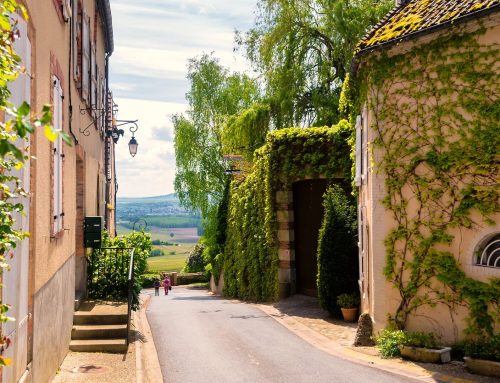 Champagne entdecken: historische Städte, Weinberge und kulinarische Highlights