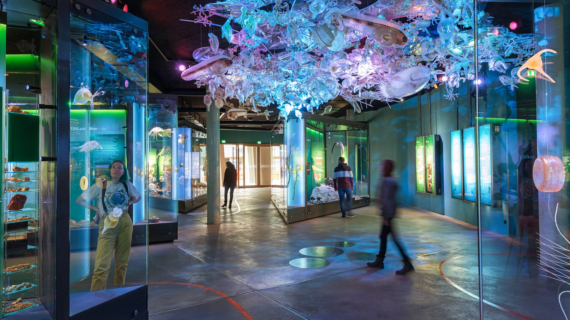 OZEANEUM, Ostsee-Ausstellung mit Planktonwolke