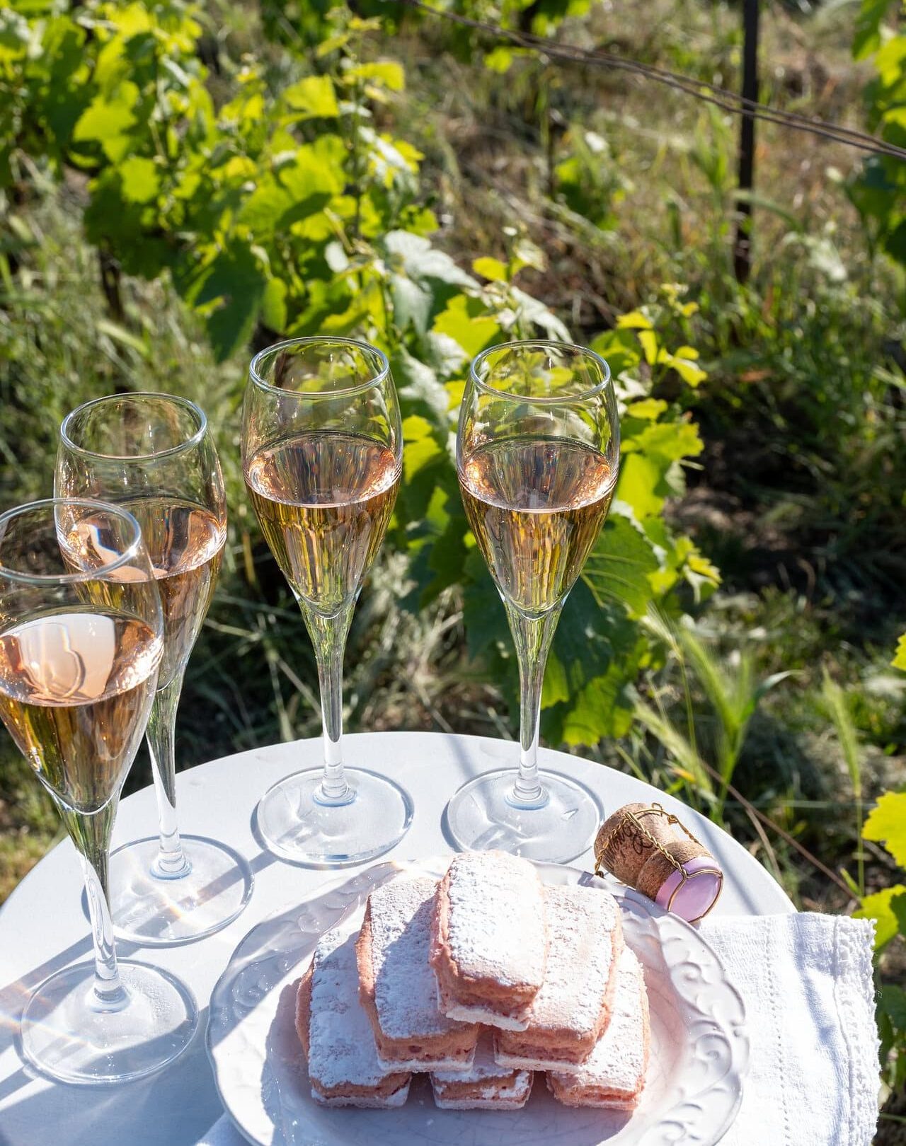 Pouring and tasting of white and rose sparkling wine brut, grand reserve, champagne in Ay-Champagne on green hilly vineyards in old wine making village in Vallee de la Marne, Champagne region, France Pouring and tasting of white and rose sparkling wine brut, grand reserve, champagne in Ay-Champagne on green hilly vineyards and view on old wine making village in Vallee de la Marne, Champagne, France