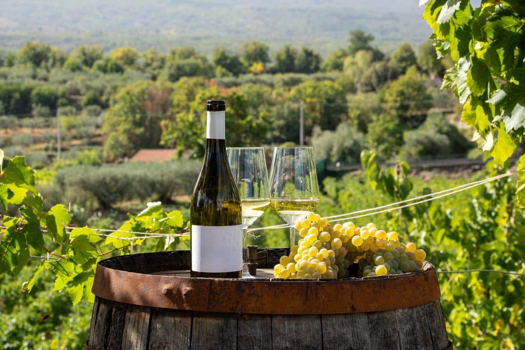 Wein entdecken und erleben: Wie Online-Plattformen den Genuss erweitern