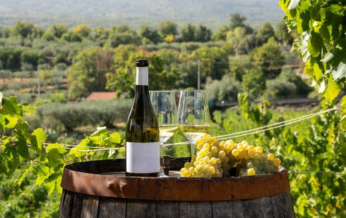 White wine and grape bunch on barrel in vineyard during sunny harvest day