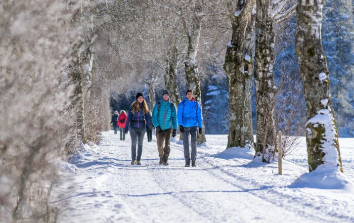 Wandergruppe auf einem sonnenbeschienenen und schneebedeckten Weg im Allgäu