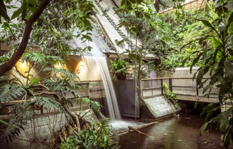 Wasserfall in der Biosphäre Potsdam