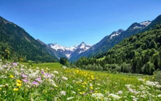 Sommer in den Alpen - Reiseziele im August