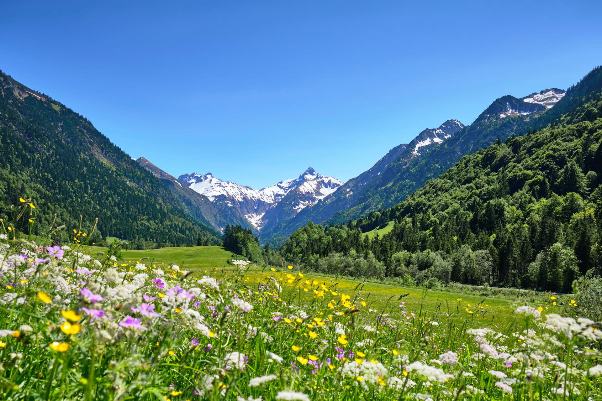 Sommer in den Alpen - Reiseziele im August