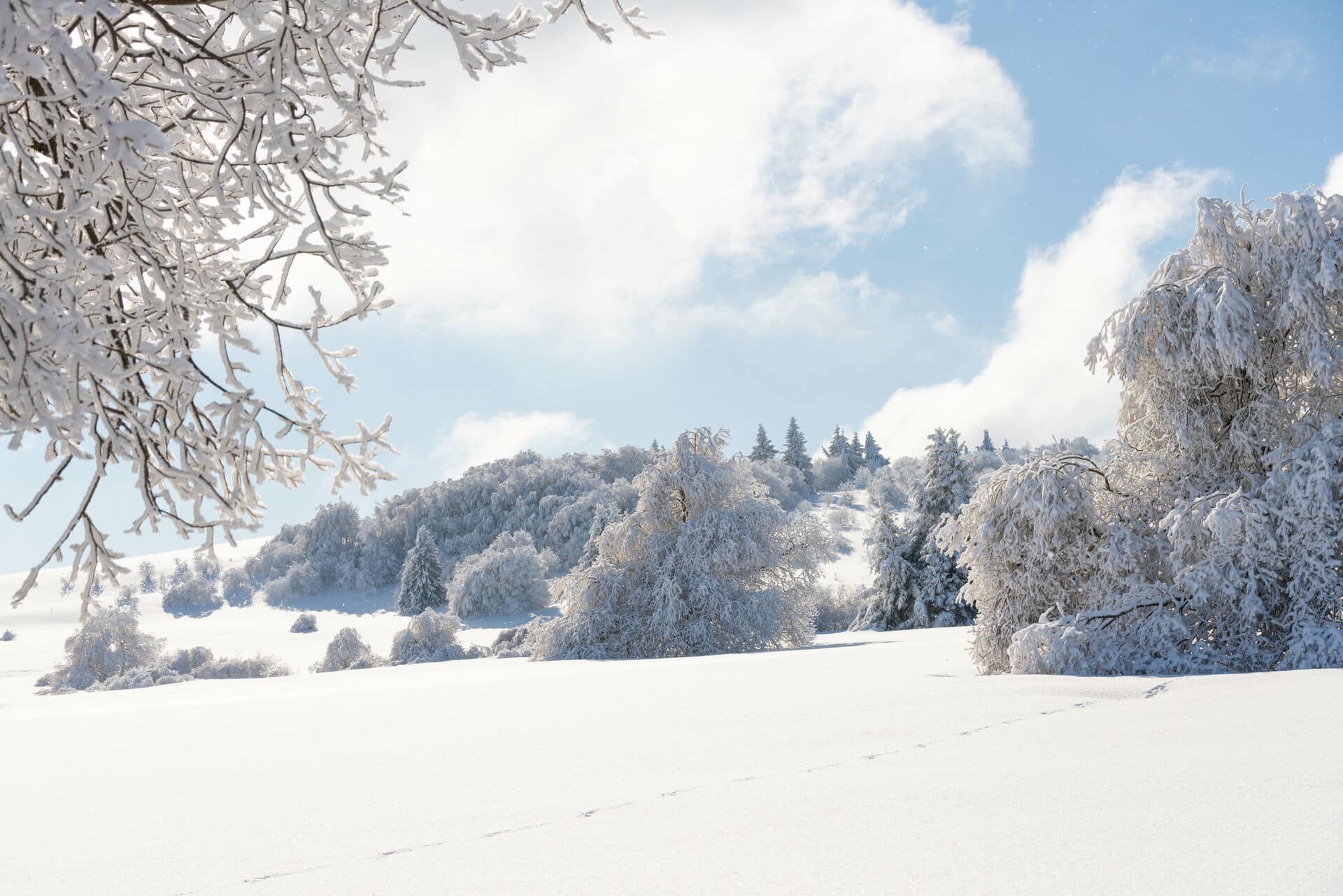Winterlandschaft in der Rhön - Wohin im Januar?