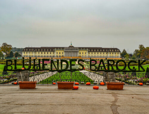 Das Blühende Barock in Ludwigsburg: Eine ganz besondere Gartenschau
