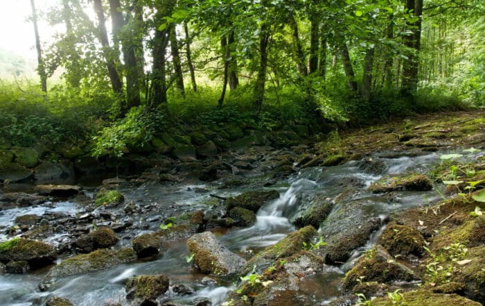 Die Urft in der Eifel - Eifeler Quellenpfad