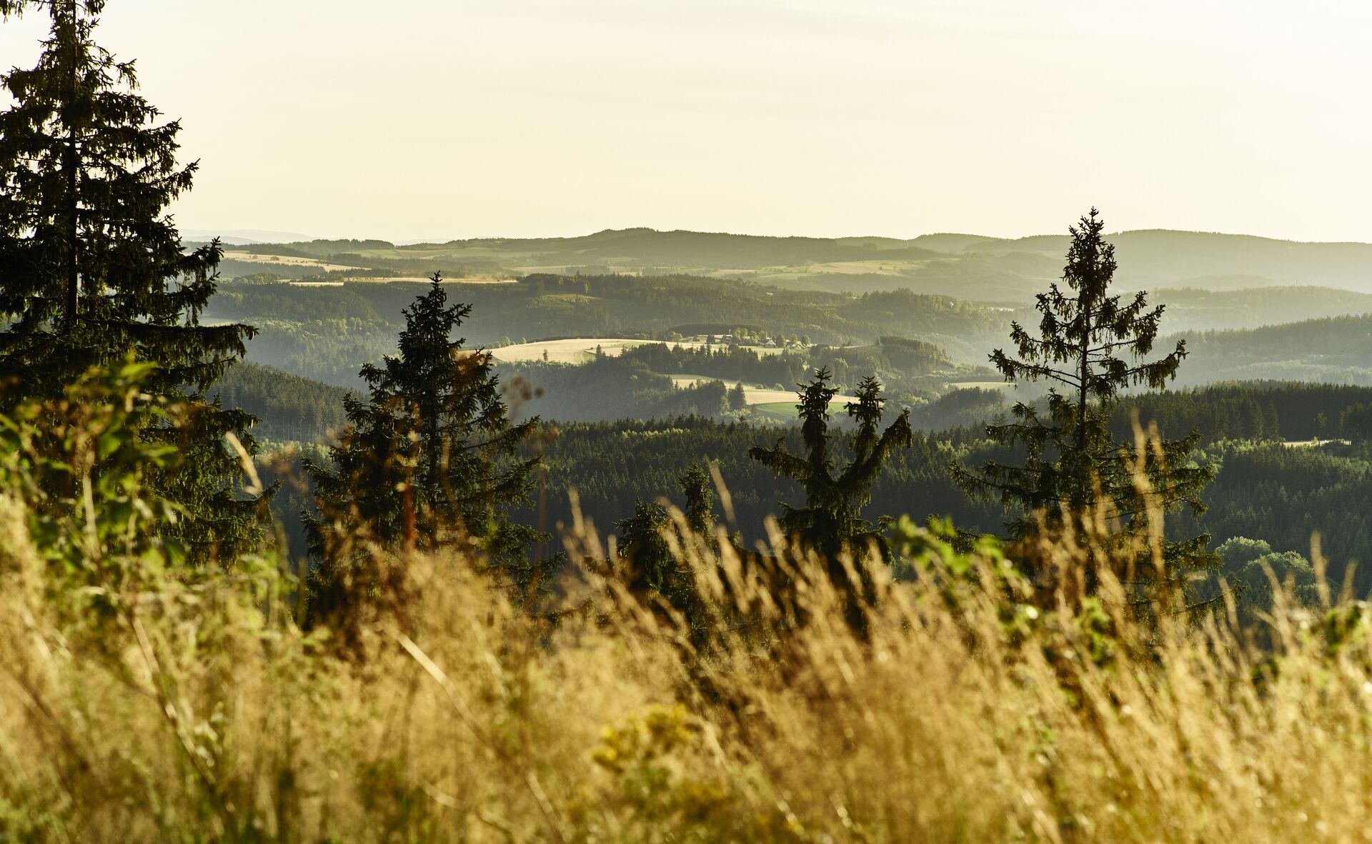 Blick vom Döbraberg über den Frankenwald - FrankenwaldSteig