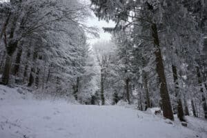 Winterwandern im Chiemgau - Wanderweg um den Staffen