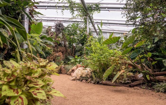 Tropenhaus, botanika Bremen