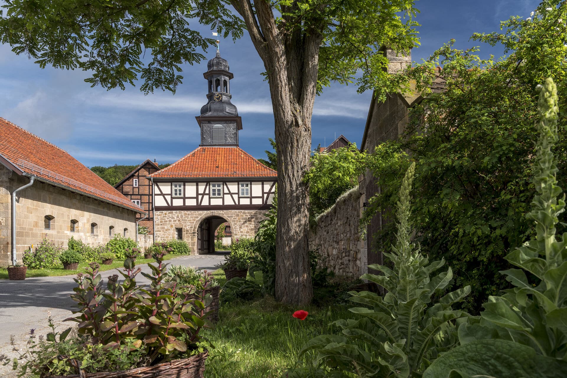 Zisterzienserkloster Michaelstein - Frühling in Sachsen-Anhalt