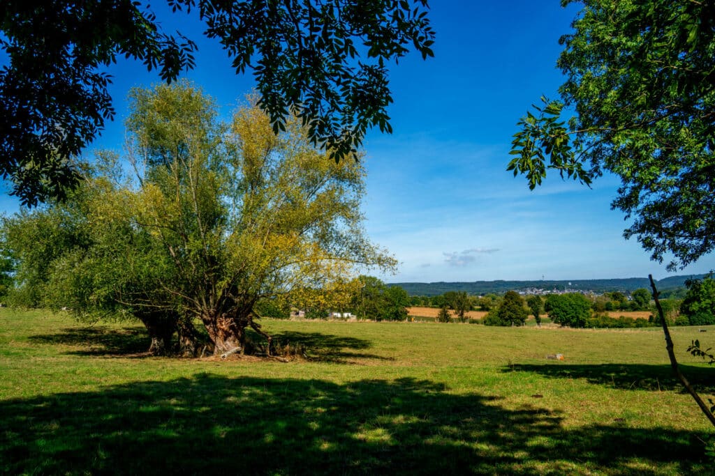 Wandern in Ostbelgien: Die Göhltalroute