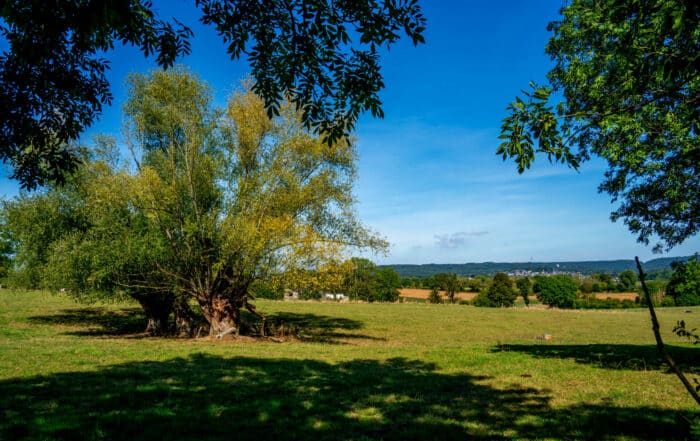 Landschaft bei Kelmis, Ostbelgien - Göhltalroute