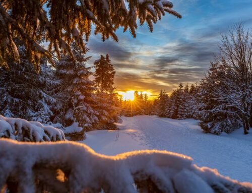 Winterwandern im Harz: Auf dem Goetheweg zum Brocken