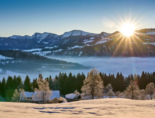 Winterwandern im Allgäu: Der Premium-Winterwanderweg Kapfwald-Runde