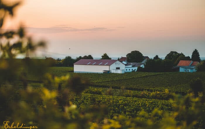 Weingut Familie Erbeldinger
