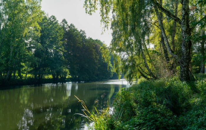 Herbstlandschaft an der Dahme - DahmeRadweg