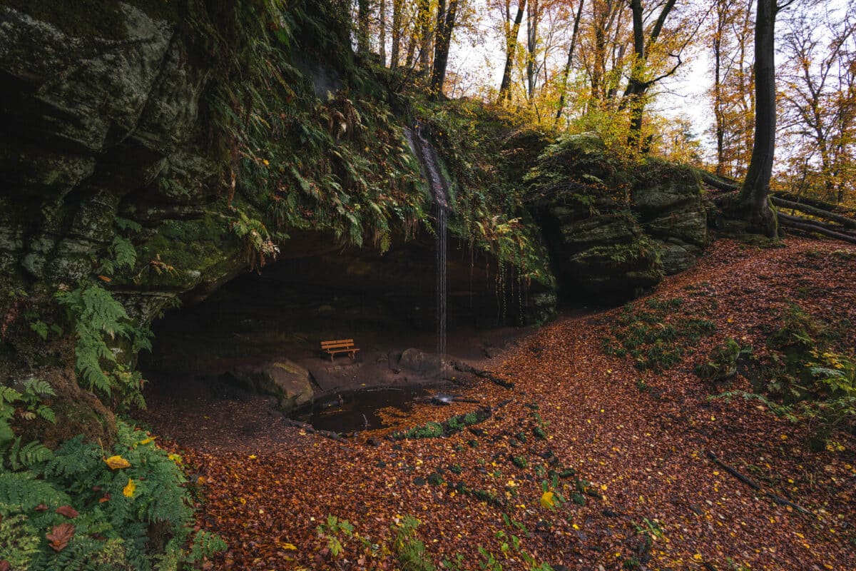 Der Rodalber Felsenwanderweg im Pfälzerwald | Der Varta-Führer