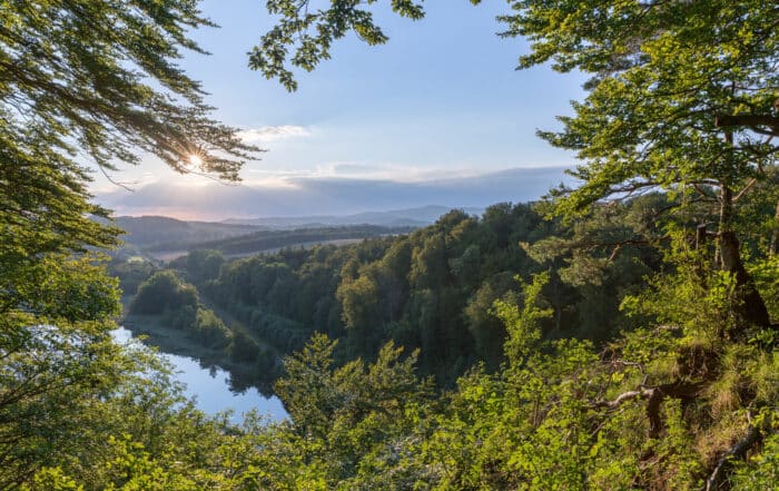 Blick in den Südharz