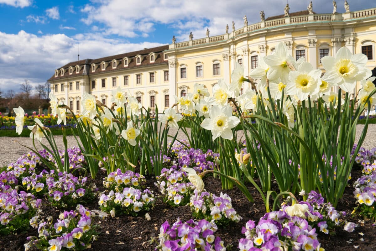 Blhendes Barock Parkennull