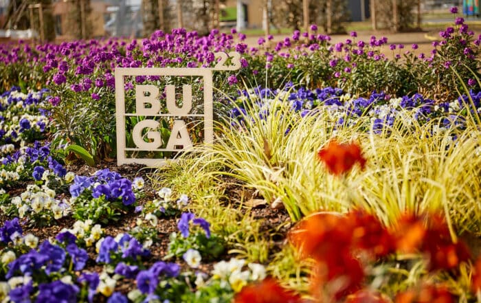 Blütenmeer auf der BUGA