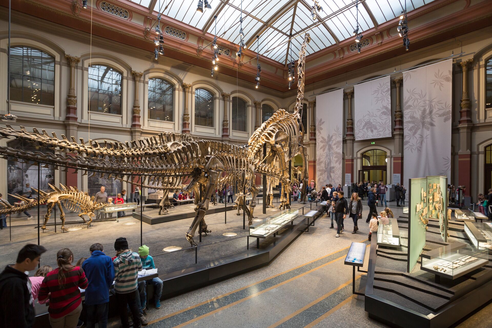Weltgrößtes Dinosaurierskelett, Museum für Naturkunde Berlin