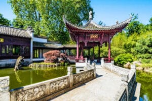 Chinesischer Garten im Bethmannpark Frankfurt - Frühling in Hessen