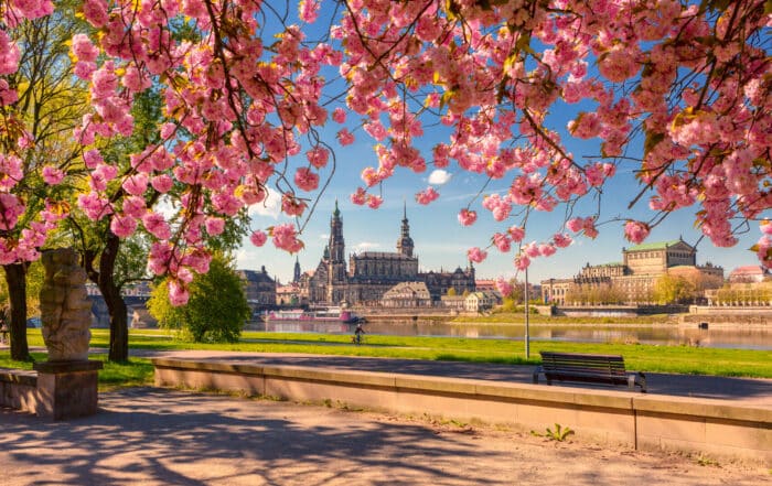 Frühling in Dresden - Frühling in Sachsen
