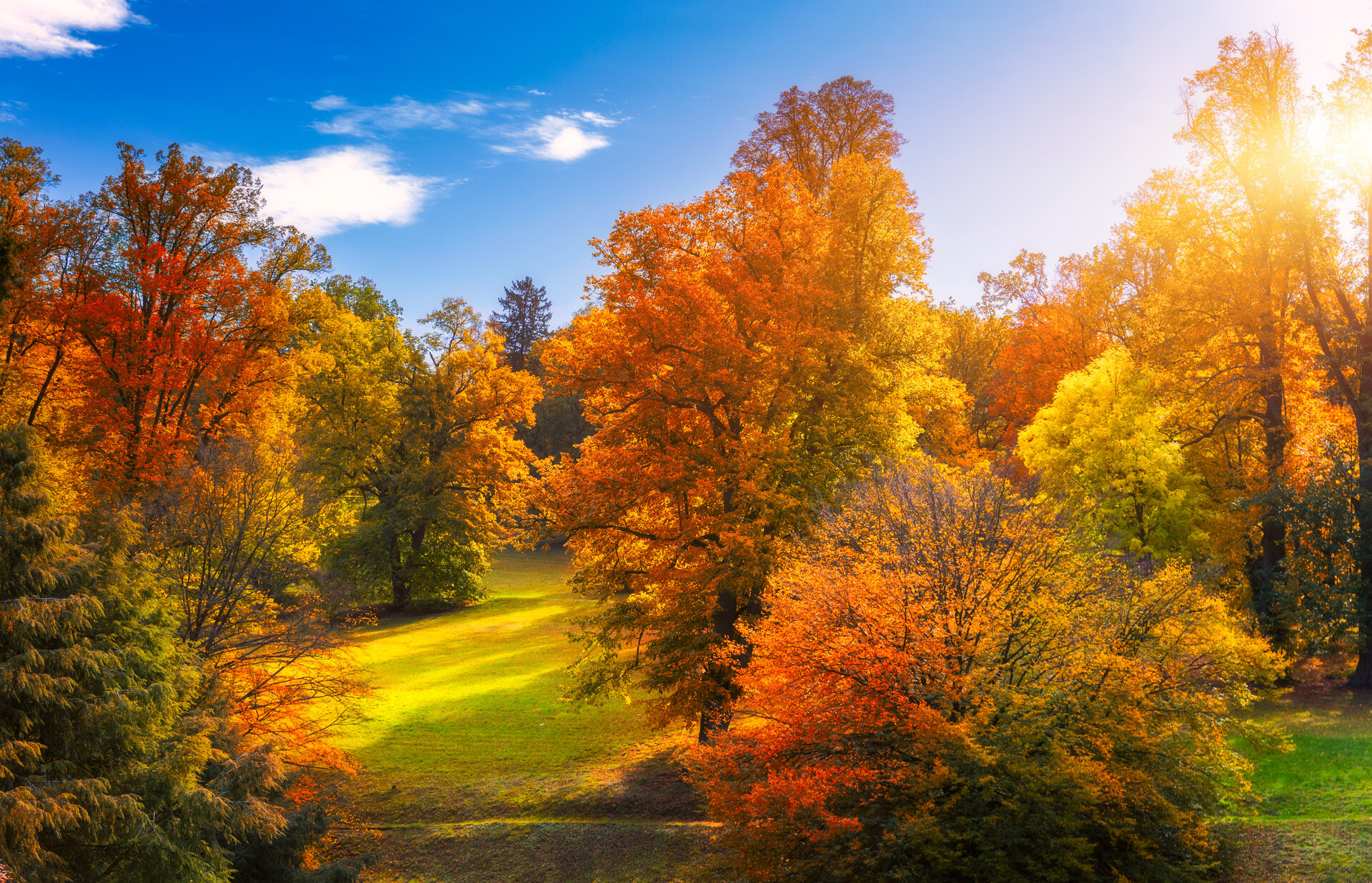 Goldene Herbstlandschaft - Wohin im September
