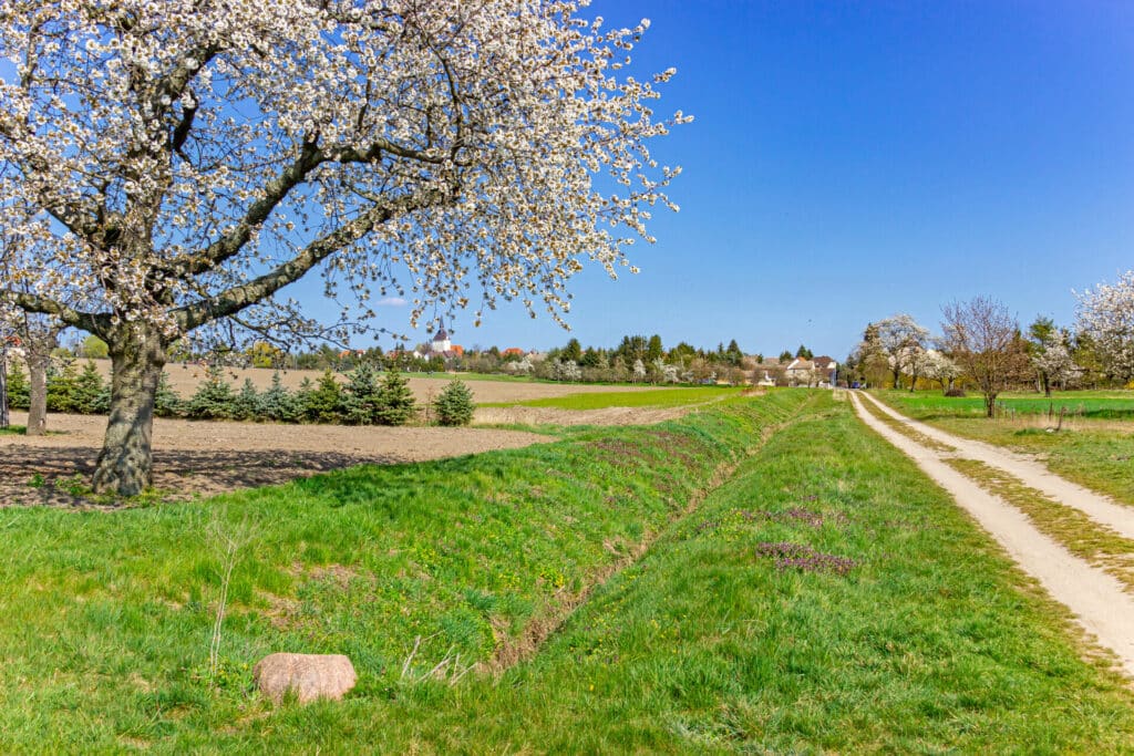 Auf der Radtour Kohle, Wind & Wasser durch das Elbe-Elster-Land