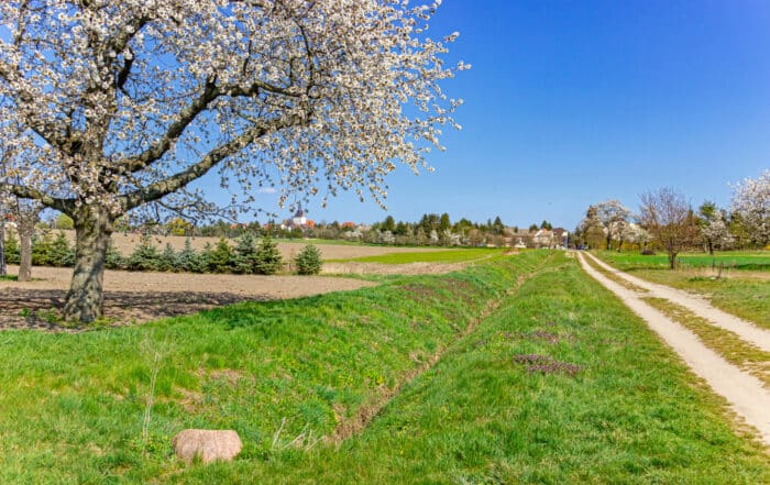 Radeln im Elbe-Elster-Land - Radtour Kohle, Wind & Wasser