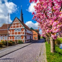 Jork im Alten Land zur Blütezeit - Frühling in Niedersachsen