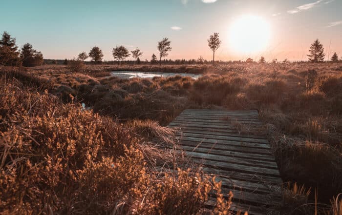 Hohes Venn - Venntrilogie