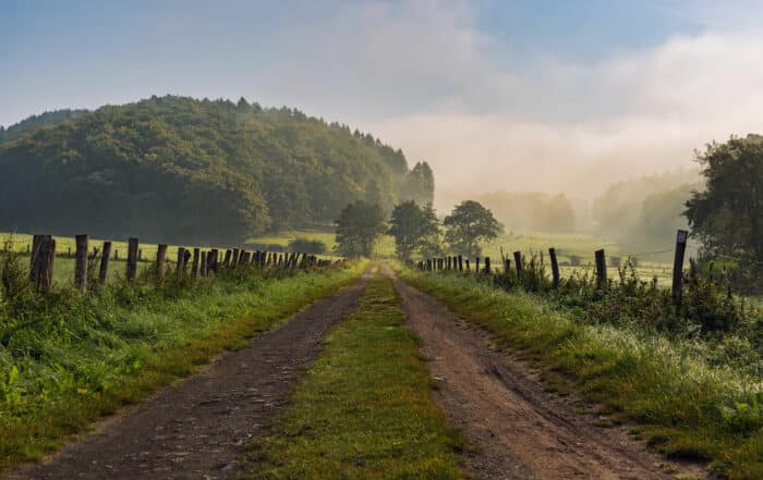 Wandern im Hochsauerland - Medebacher Bergweg
