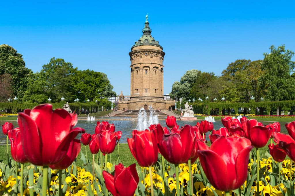 Die schönsten Ausflugstipps für den Frühling in Baden-Württemberg