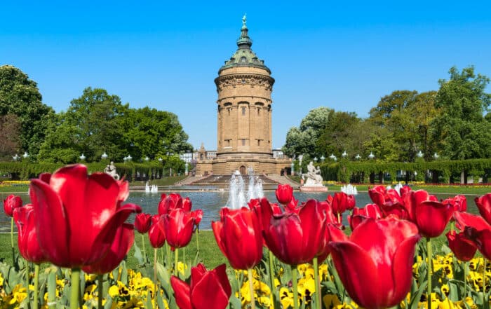 Wasserturm Mannheim im Frühling - Frühling in Baden-Württemberg