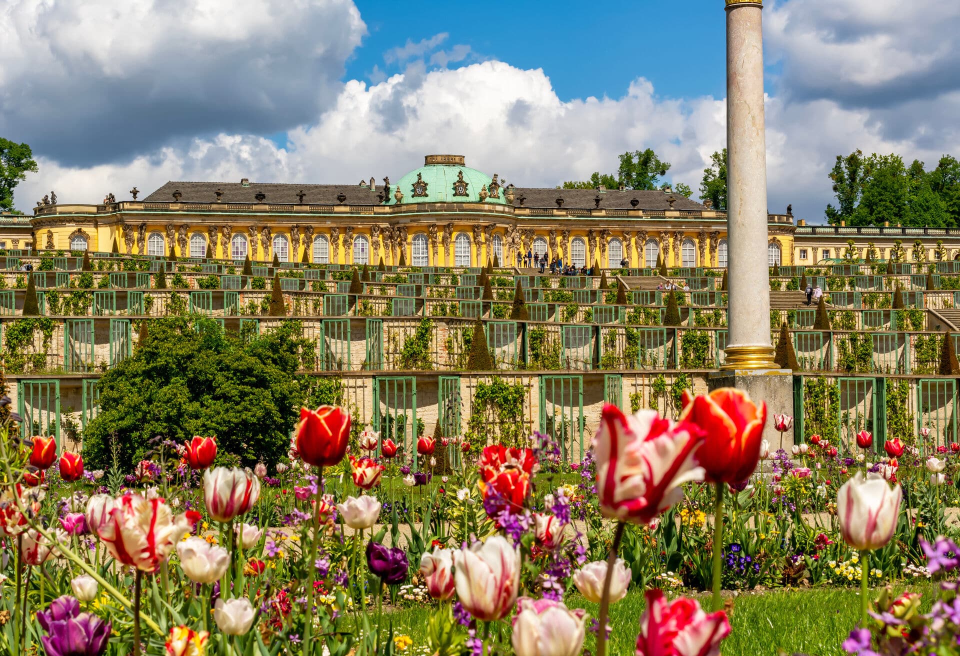 Schloss Sanssouci im Frühling - Frühling in Brandenburg