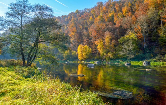 Der Fluss Regen im Bayerischen Wald - Regental-Radweg