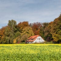 Landschaft Osnabrücker Land im Herbst - Ahornweg