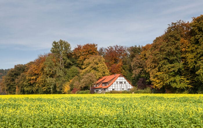 Landschaft Osnabrücker Land im Herbst - Ahornweg