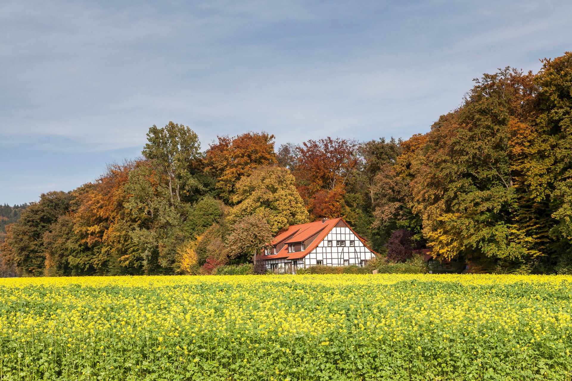 Landschaft Osnabrücker Land im Herbst - Ahornweg