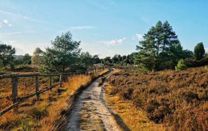 Wandern in der Lüneburger Heide - Freudenthalweg